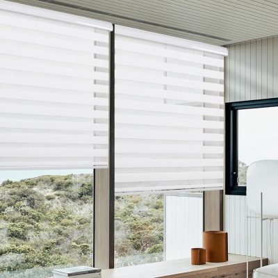 Zebra Shades Roller Blind Privacy Light Filtering Shades